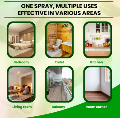 🦎Lizard Repellent Spray – Protect Your Home Naturally (BUY 1 GET 2 FREE)
